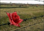 Auschwitz-Birkenau Today